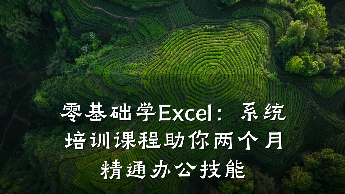 零基础学Excel:系统培训课程助你两个月精通办公技能