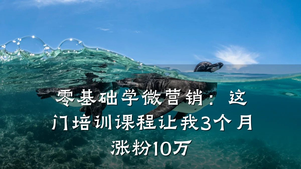 零基础学微营销:这门培训课程让我3个月涨粉10万