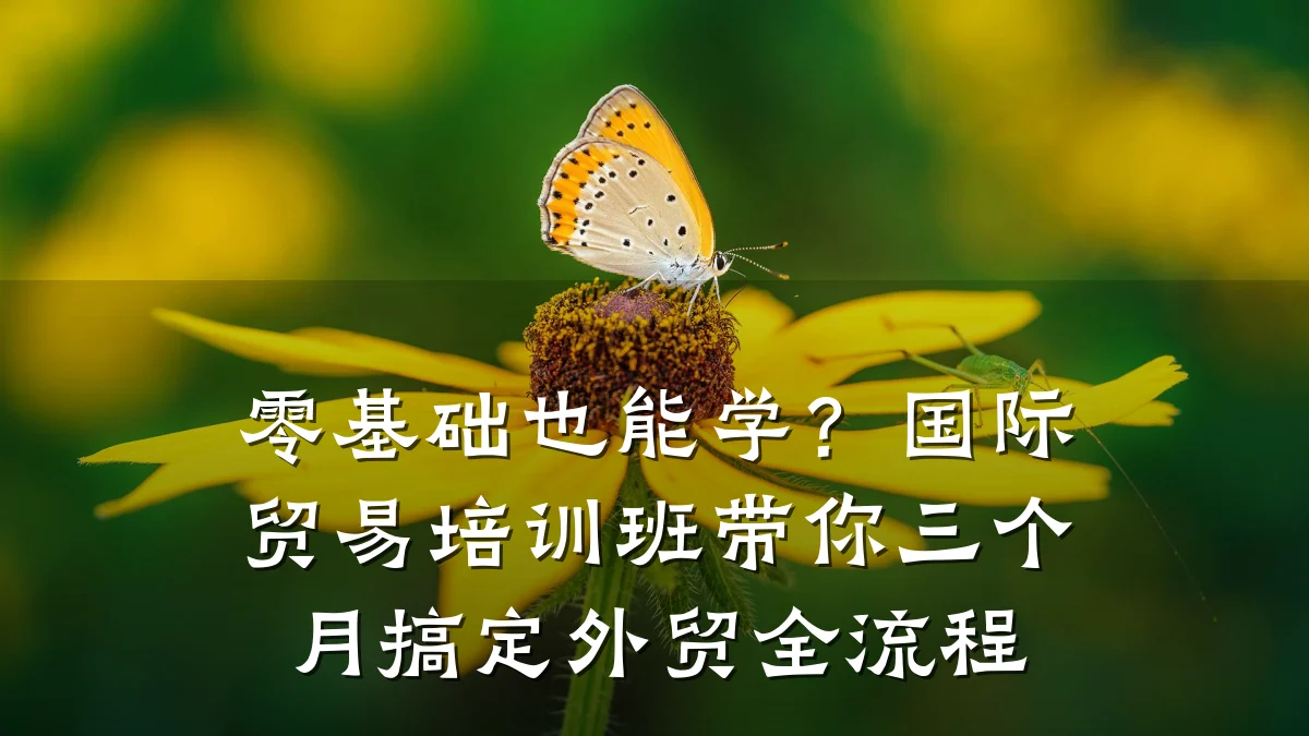 零基础也能学?国际贸易培训班带你三个月搞定外贸全流程