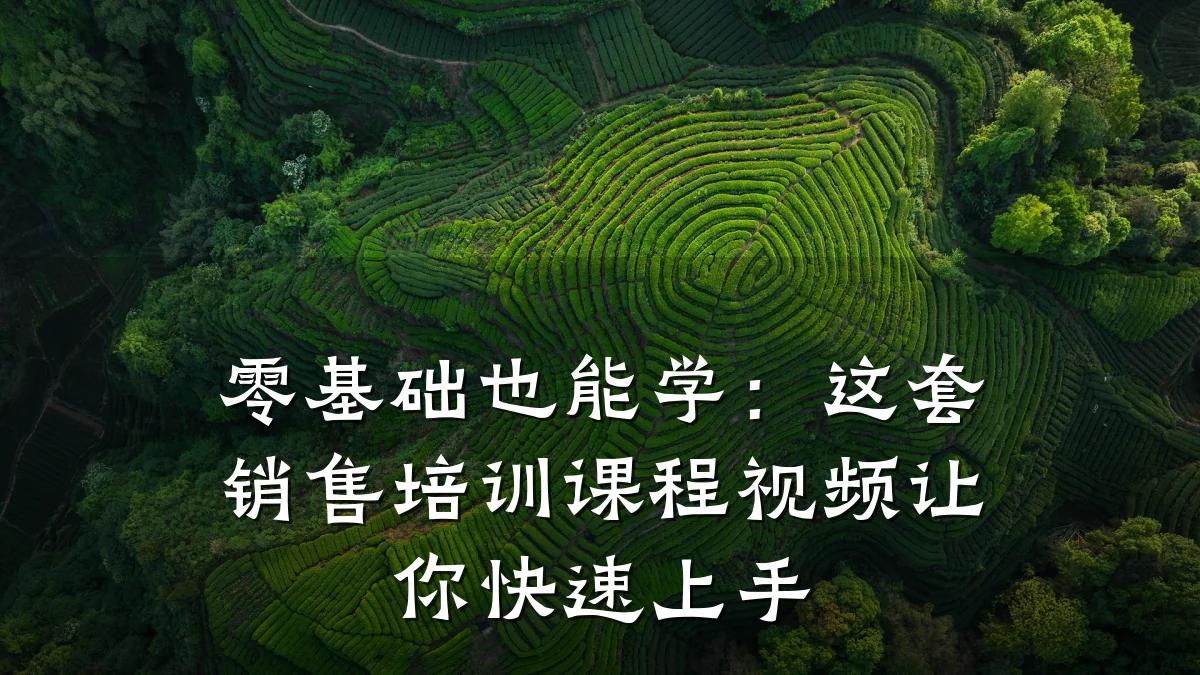 零基础也能学:这套销售培训课程视频让你快速上手
