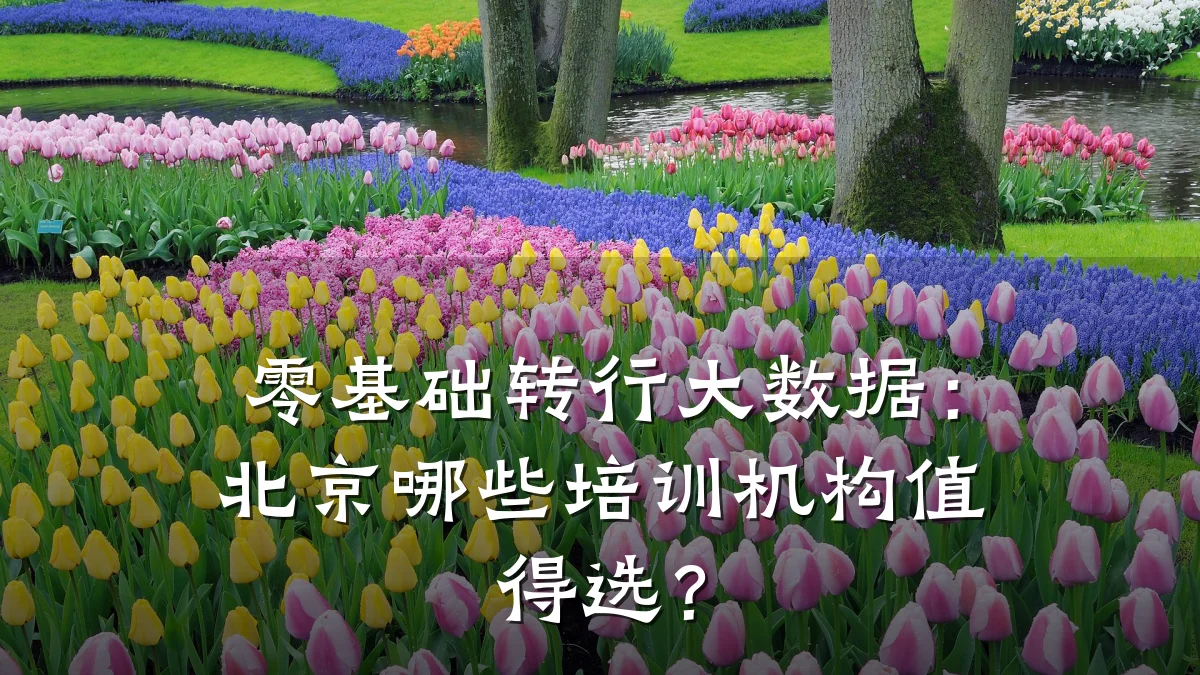 零基础转行大数据:北京哪些培训机构值得选?