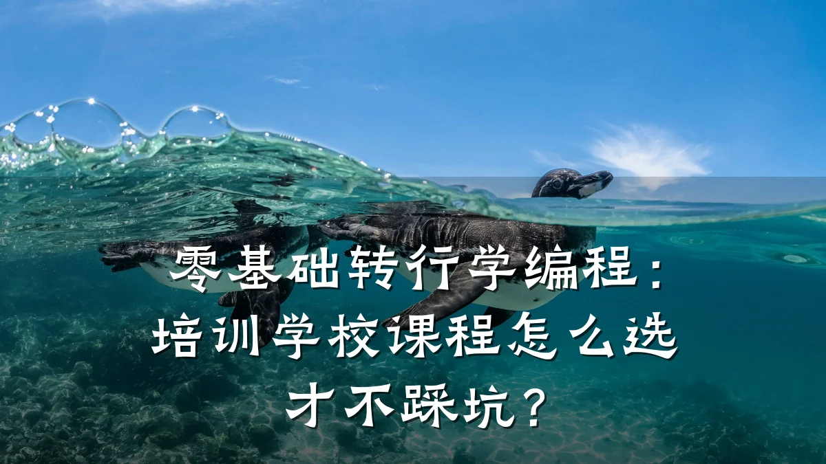 零基础转行学编程:培训学校课程怎么选才不踩坑?