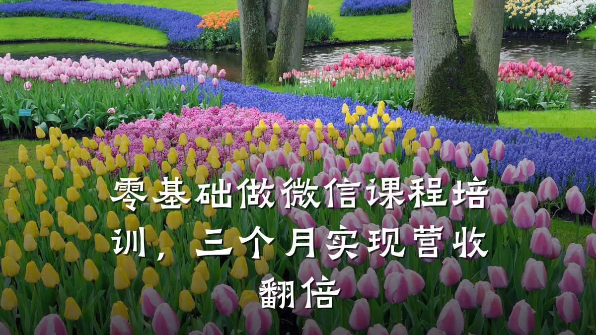 零基础做微信课程培训,三个月实现营收翻倍