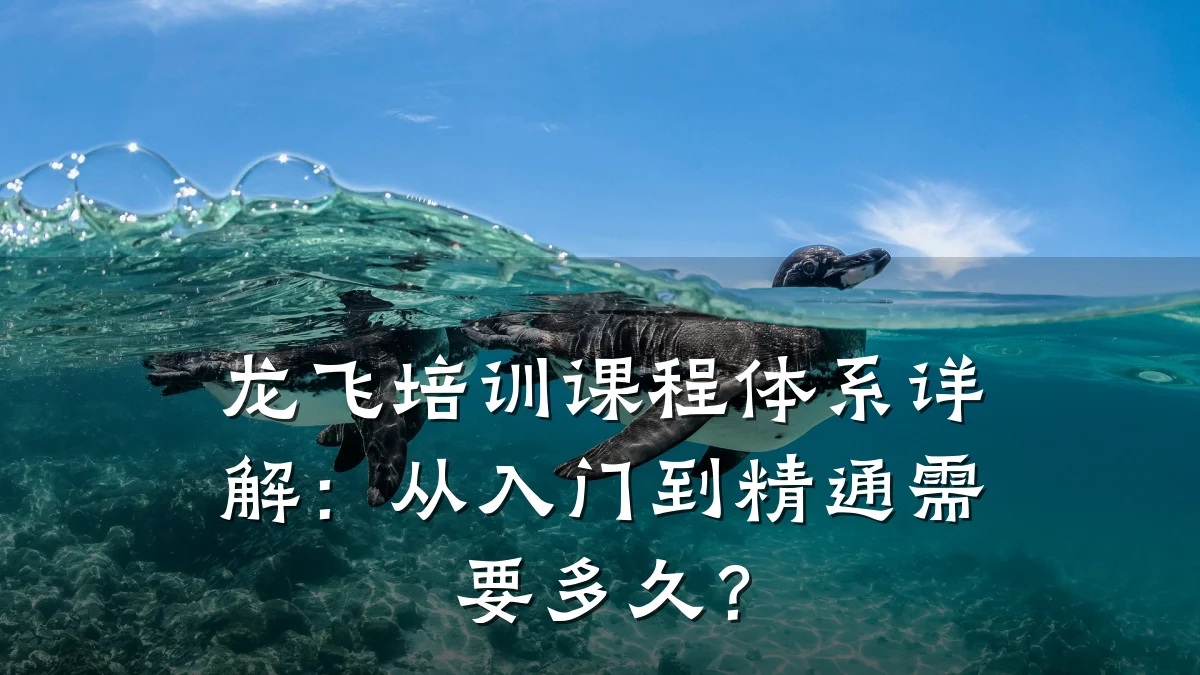 龙飞培训课程体系详解:从入门到精通需要多久?