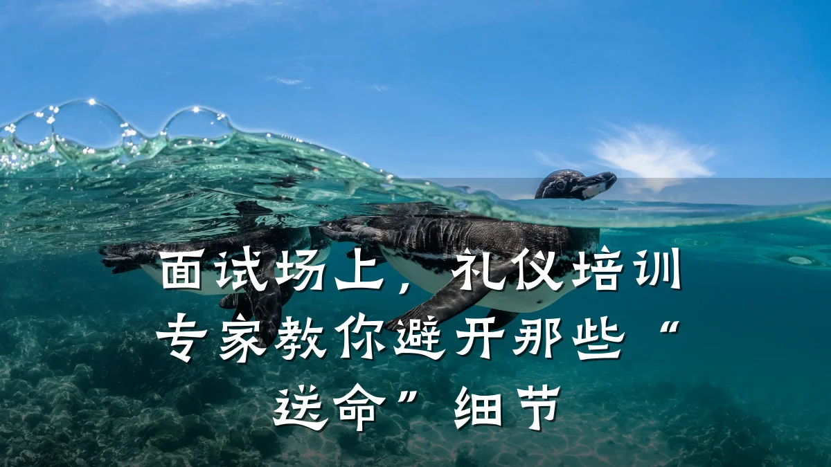 面试场上,礼仪培训专家教你避开那些“送命”细节