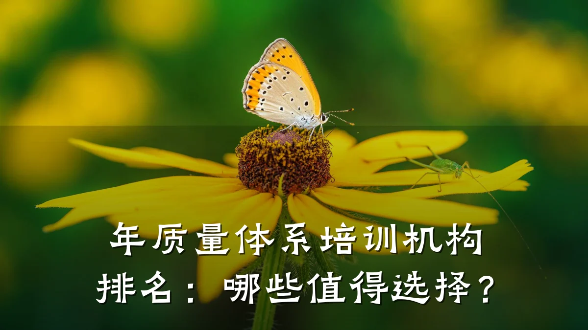 年质量体系培训机构排名:哪些值得选择?