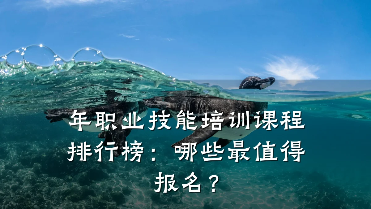 年职业技能培训课程排行榜:哪些最值得报名?