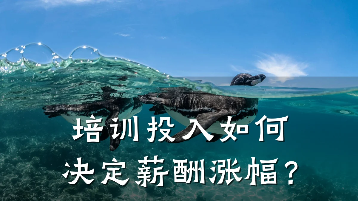培训投入如何决定薪酬涨幅?