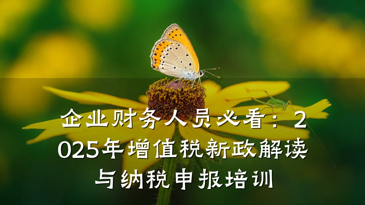 企业财务人员必看:2025年增值税新政解读与纳税申报培训