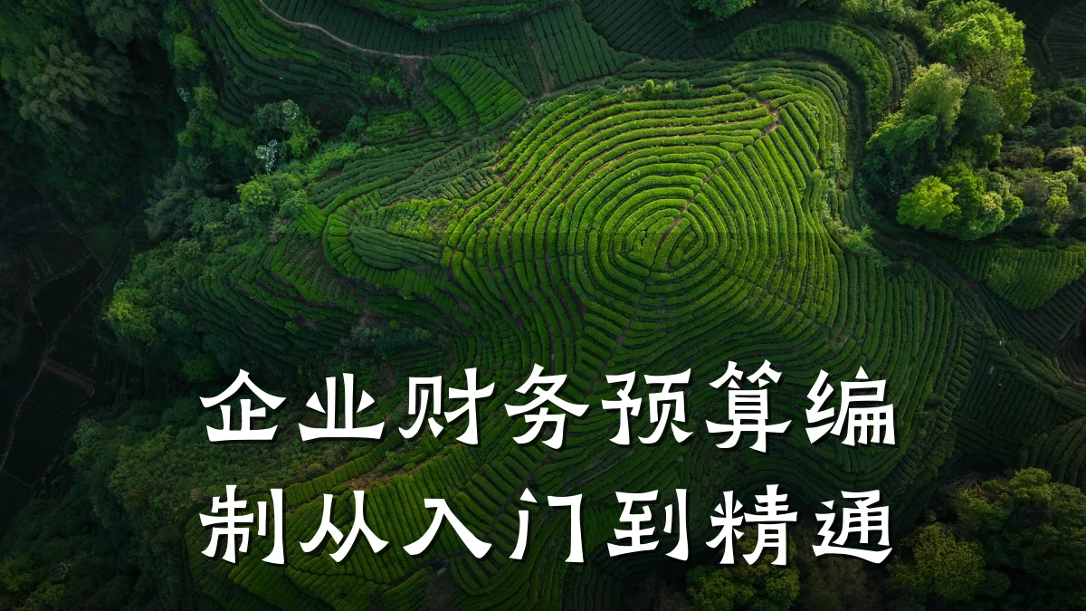企业财务预算编制从入门到精通