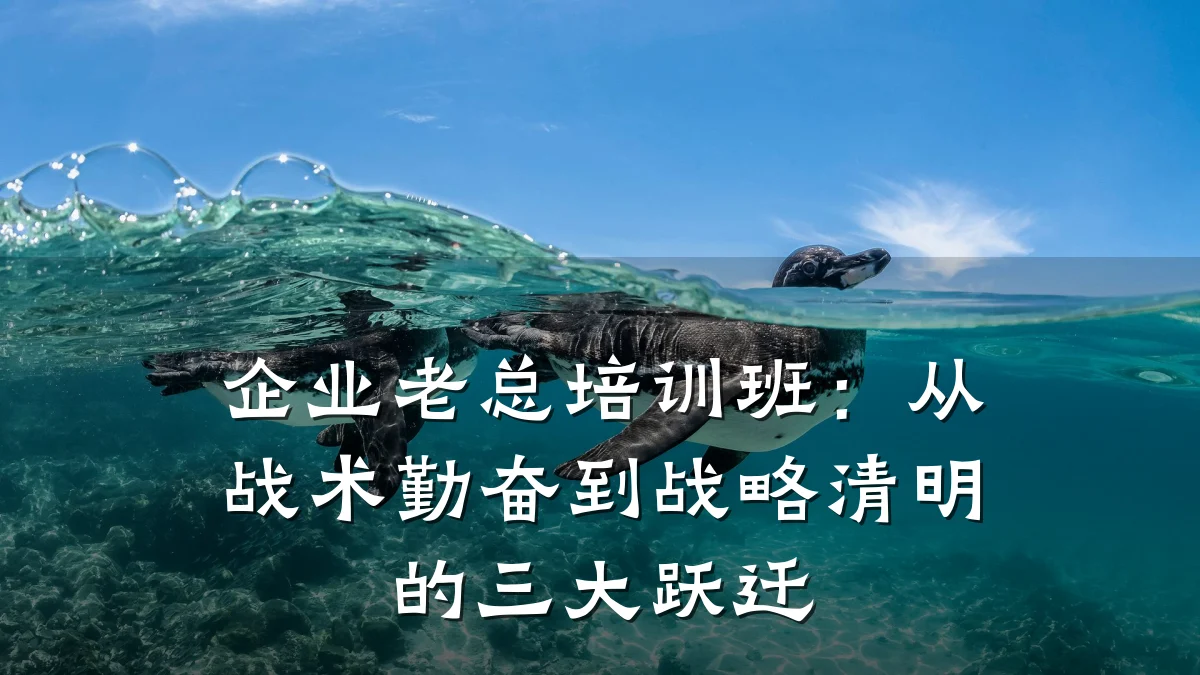 企业老总培训班:从战术勤奋到战略清明的三大跃迁