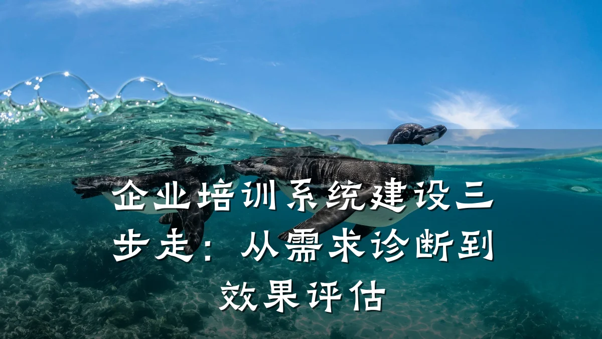 企业培训系统建设三步走:从需求诊断到效果评估