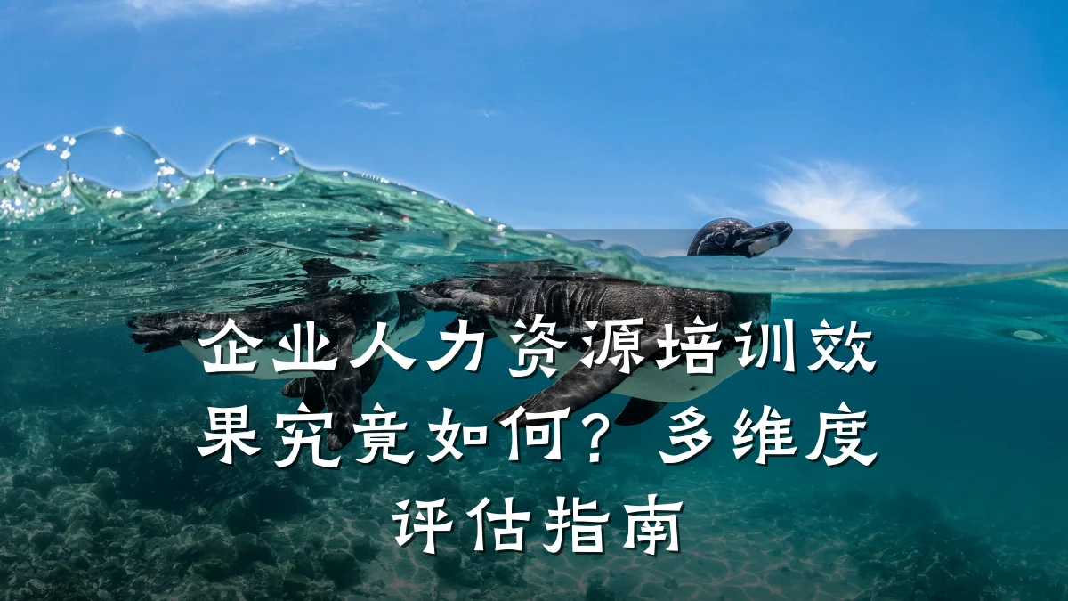企业人力资源培训效果究竟如何?多维度评估指南