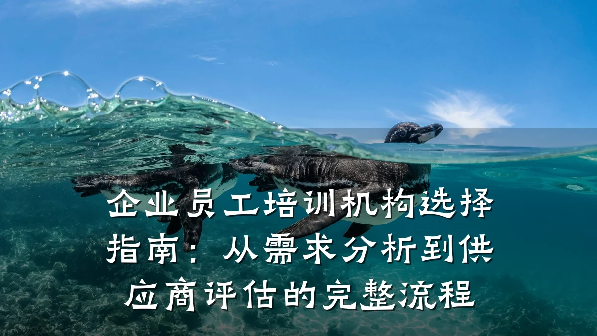 企业员工培训机构选择指南:从需求分析到供应商评估的完整流程