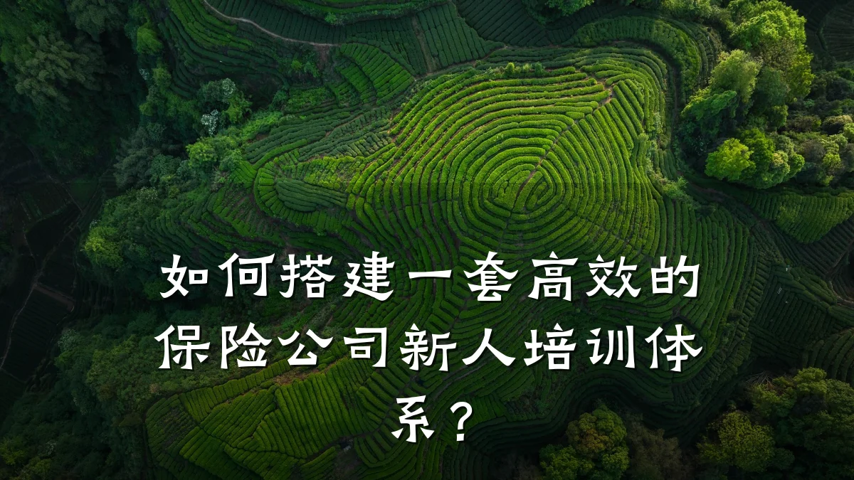 如何搭建一套高效的保险公司新人培训体系?