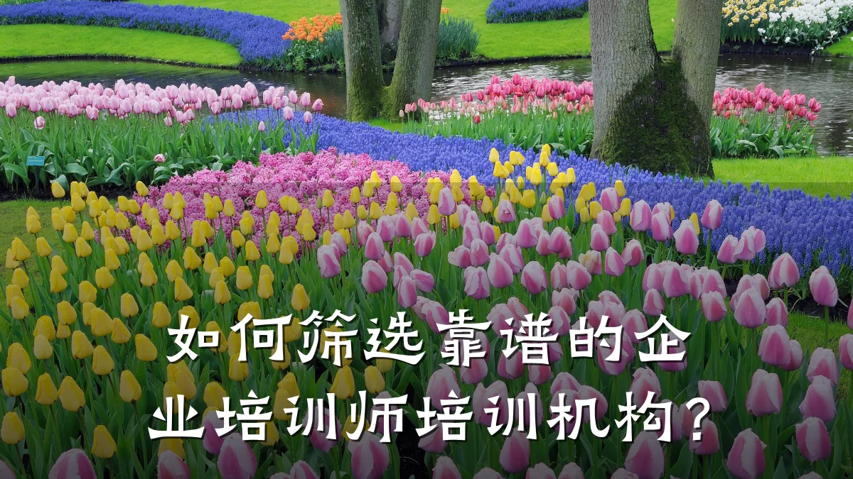 如何筛选靠谱的企业培训师培训机构?