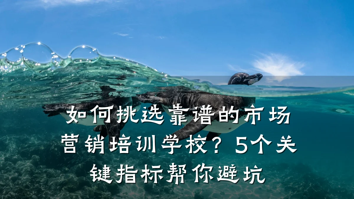 如何挑选靠谱的市场营销培训学校?5个关键指标帮你避坑