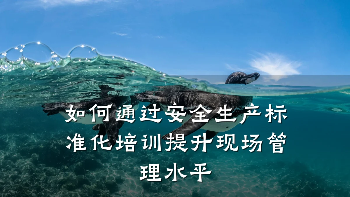 如何通过安全生产标准化培训提升现场管理水平