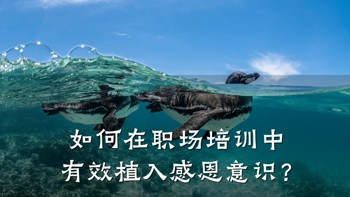 如何在职场培训中有效植入感恩意识?