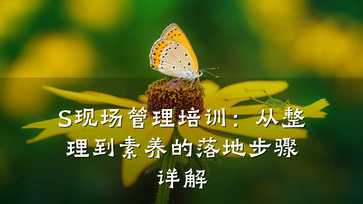 S现场管理培训:从整理到素养的落地步骤详解