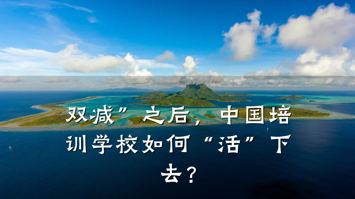 双减”之后,中国培训学校如何“活”下去?