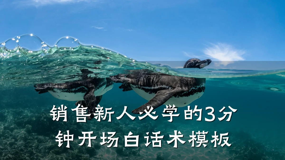 销售新人必学的3分钟开场白话术模板