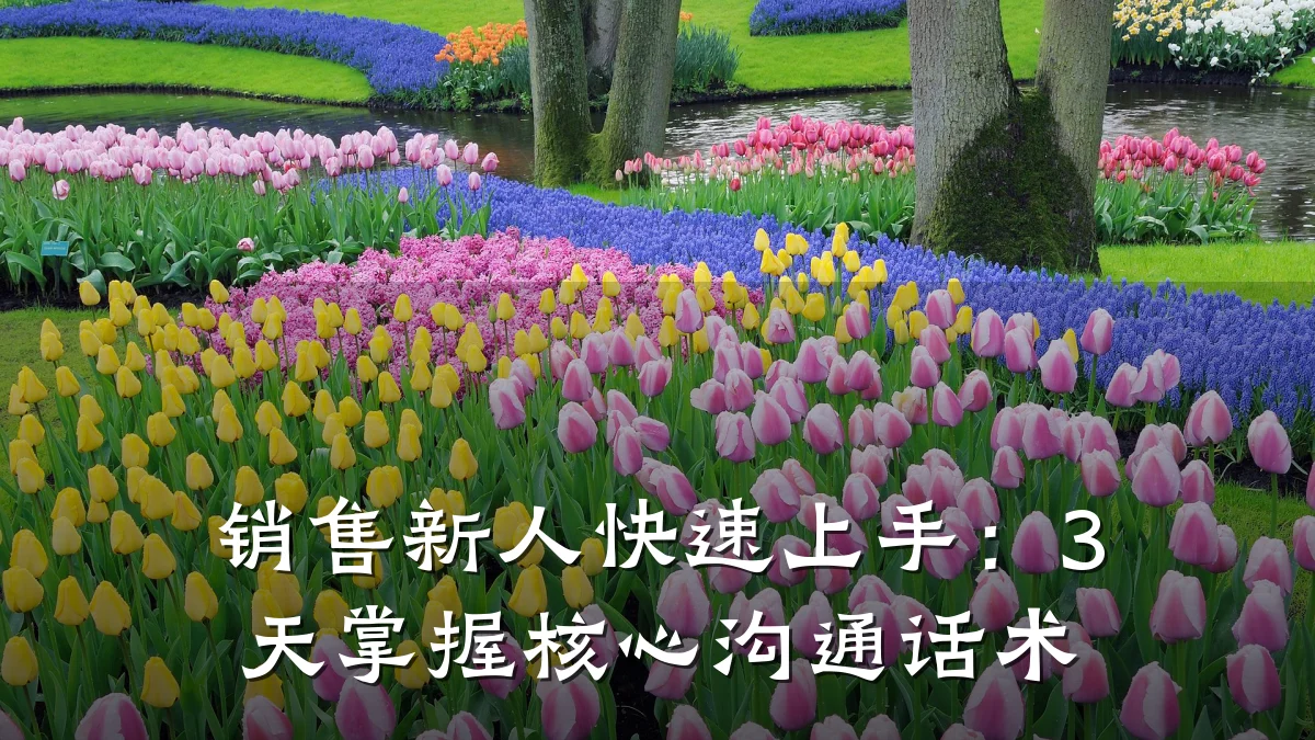 销售新人快速上手:3天掌握核心沟通话术