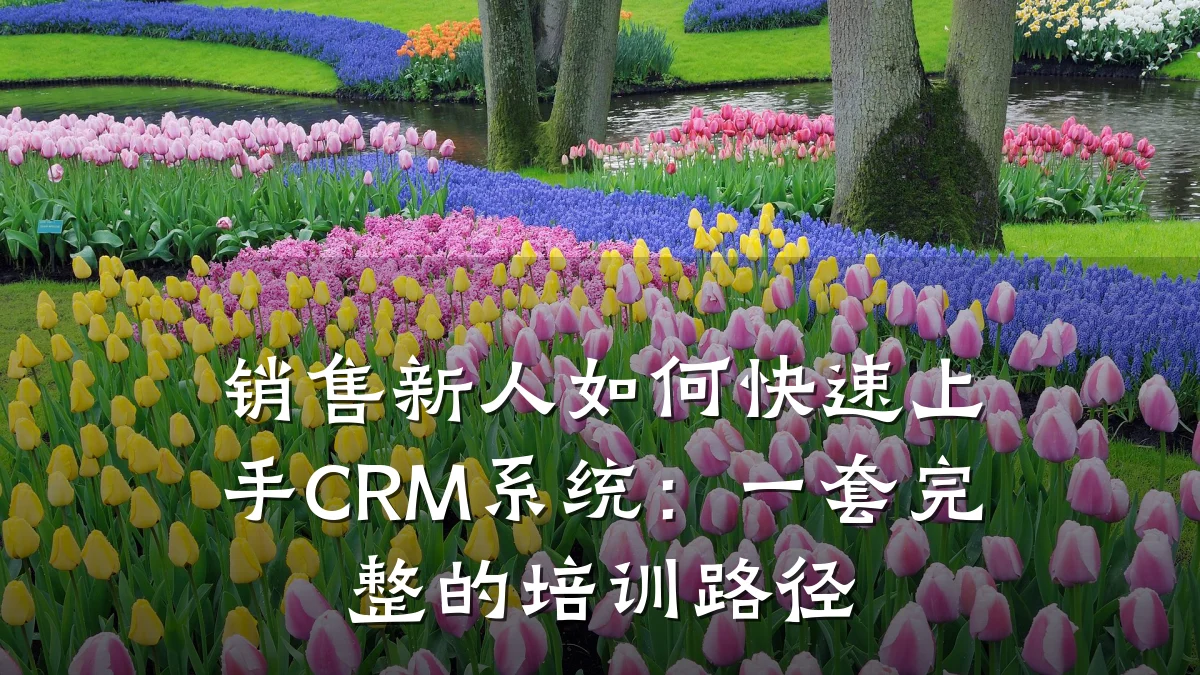 销售新人如何快速上手CRM系统:一套完整的培训路径