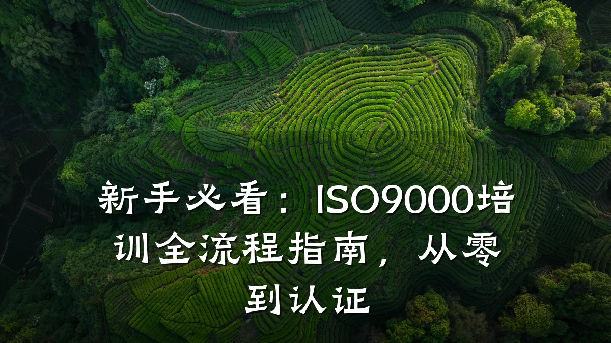 新手必看:ISO9000培训全流程指南,从零到认证