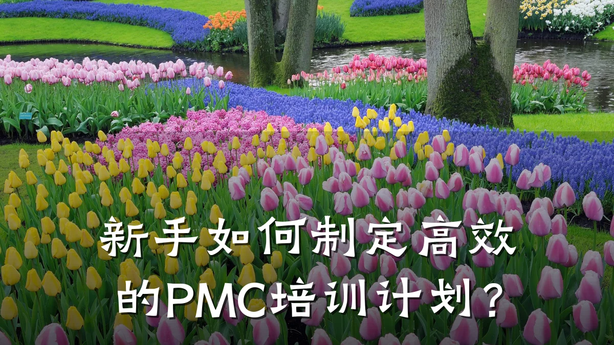 新手如何制定高效的PMC培训计划?