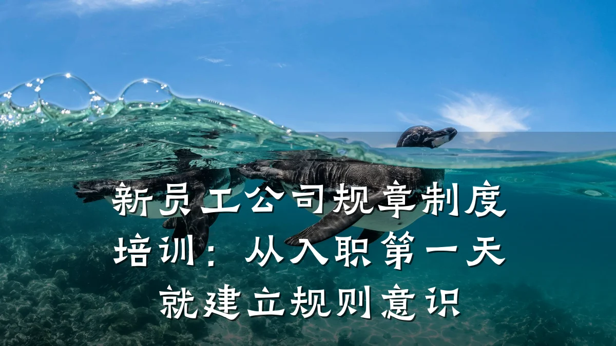 新员工公司规章制度培训:从入职第一天就建立规则意识
