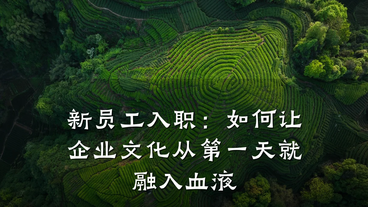 新员工入职:如何让企业文化从第一天就融入血液