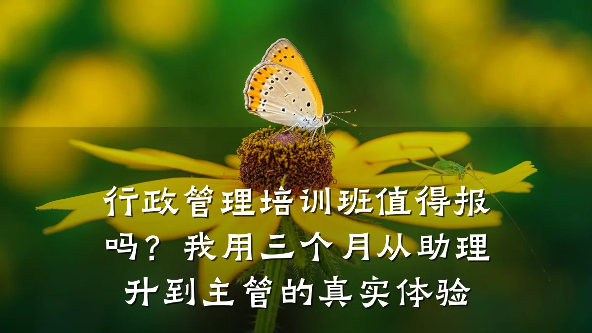 行政管理培训班值得报吗?我用三个月从助理升到主管的真实体验
