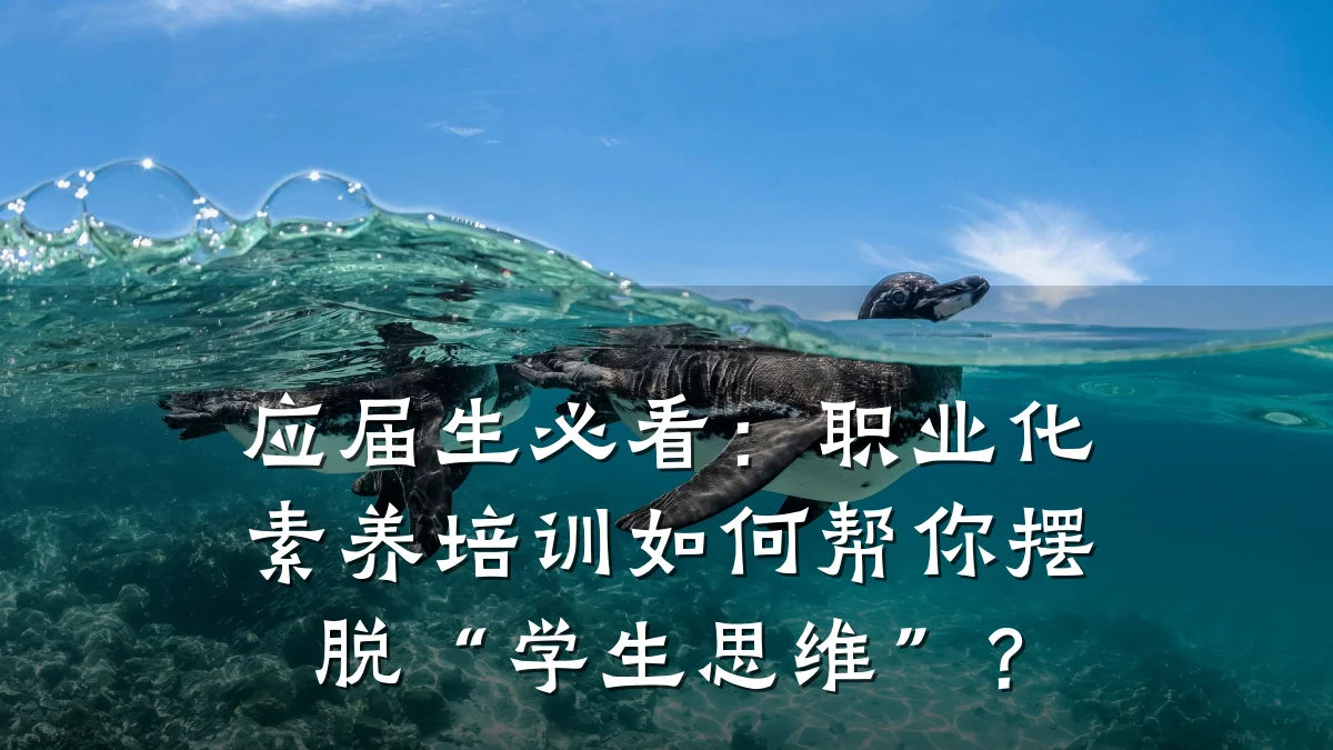 应届生必看:职业化素养培训如何帮你摆脱“学生思维”?