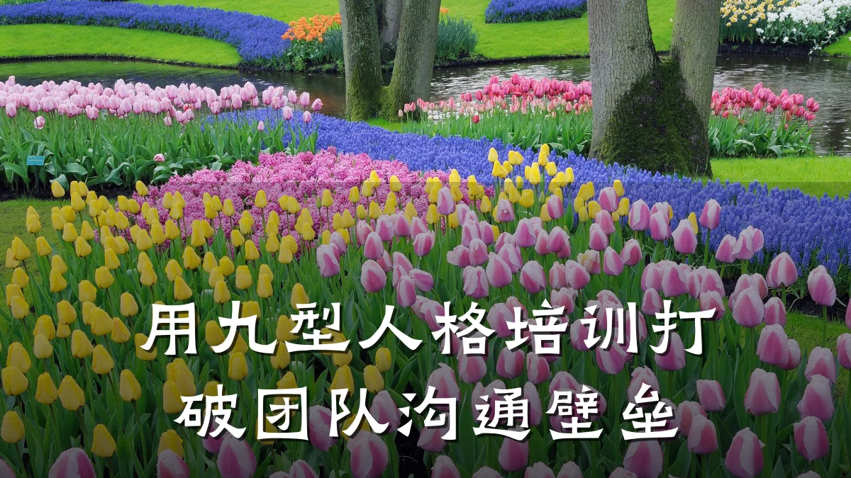 用九型人格培训打破团队沟通壁垒