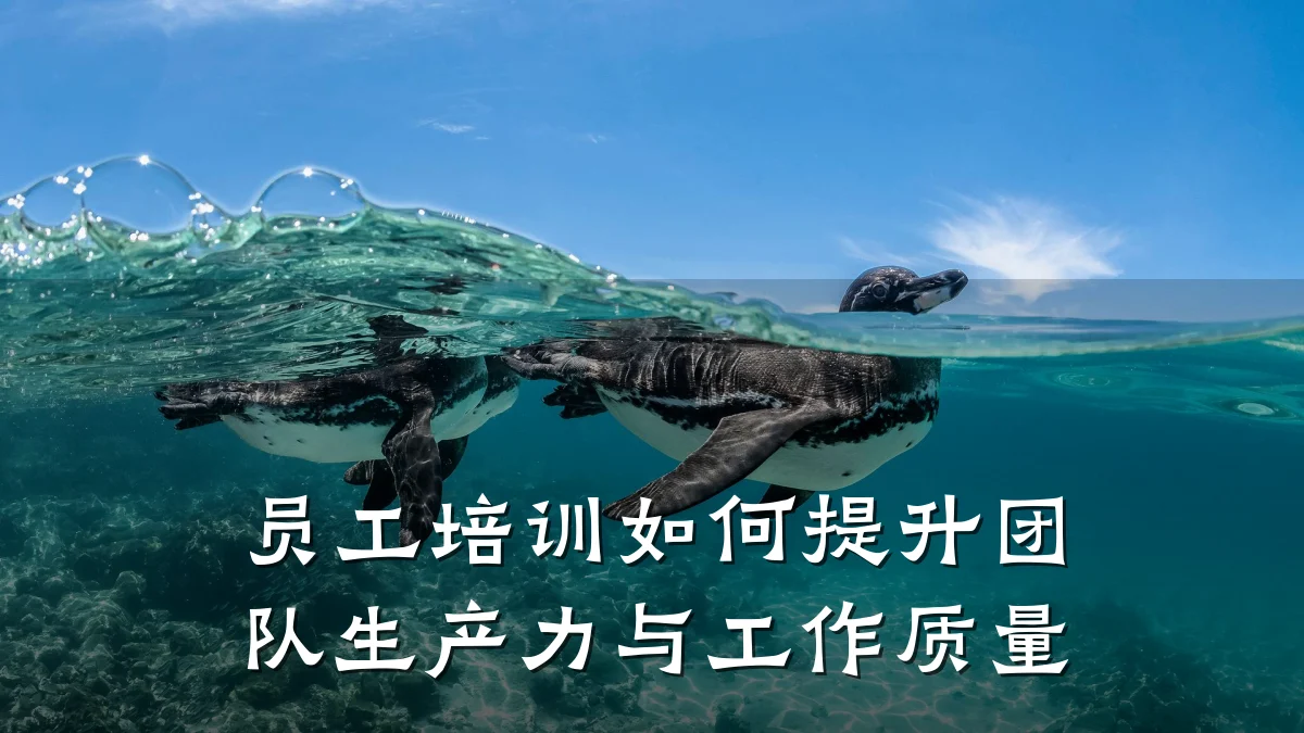 员工培训如何提升团队生产力与工作质量