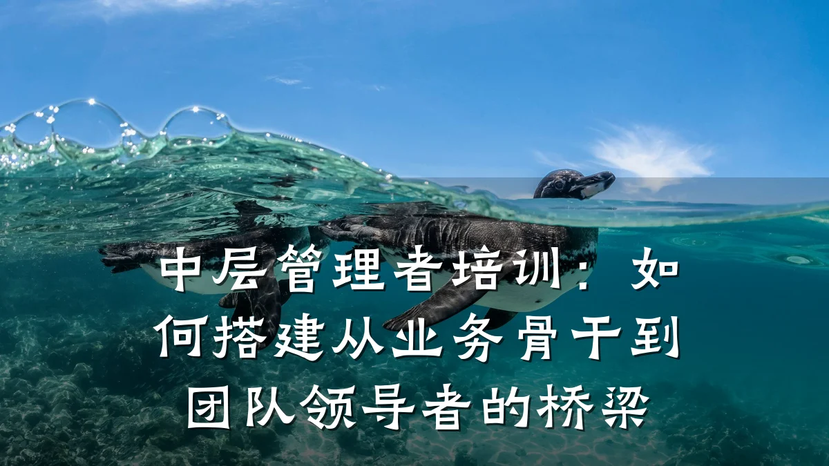 中层管理者培训:如何搭建从业务骨干到团队领导者的桥梁