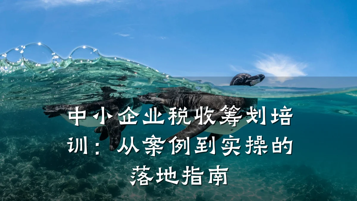 中小企业税收筹划培训:从案例到实操的落地指南