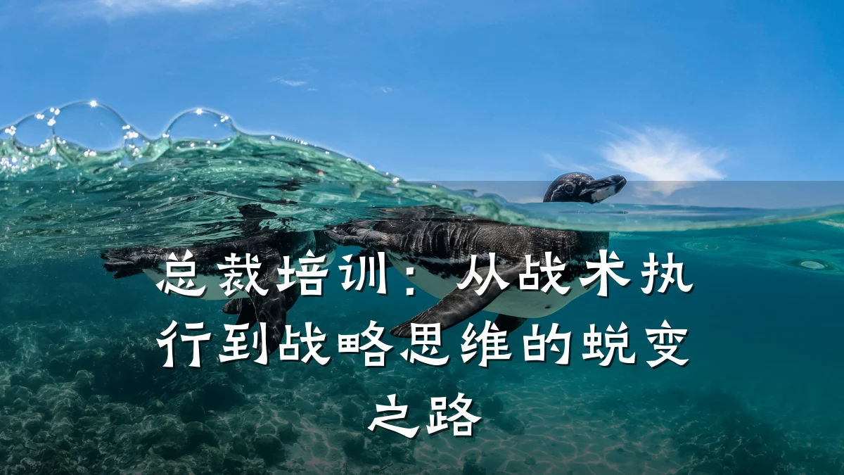 总裁培训:从战术执行到战略思维的蜕变之路