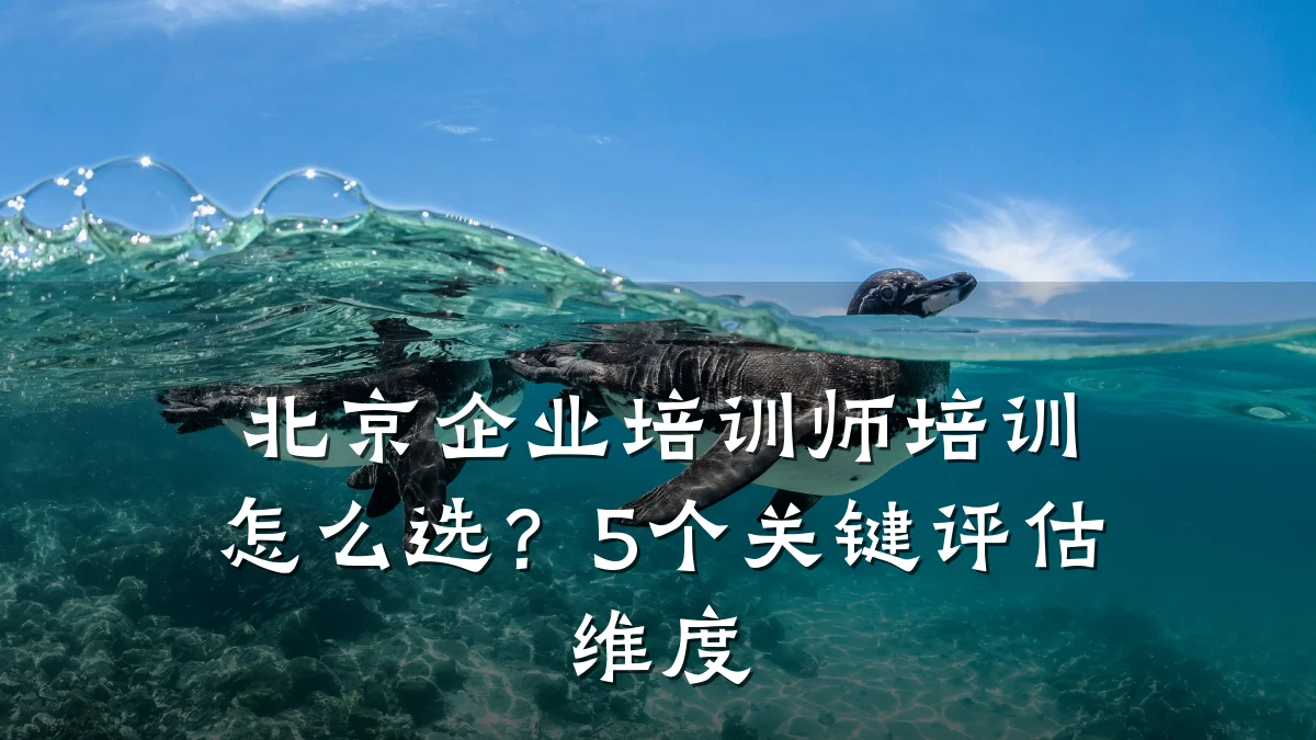北京企业培训师培训怎么选?5个关键评估维度