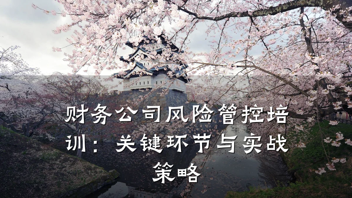 财务公司风险管控培训:关键环节与实战策略