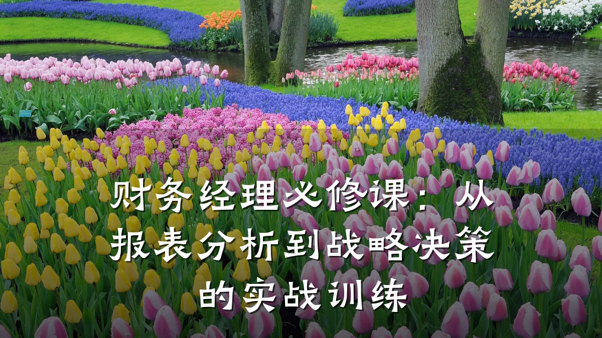 财务经理必修课:从报表分析到战略决策的实战训练