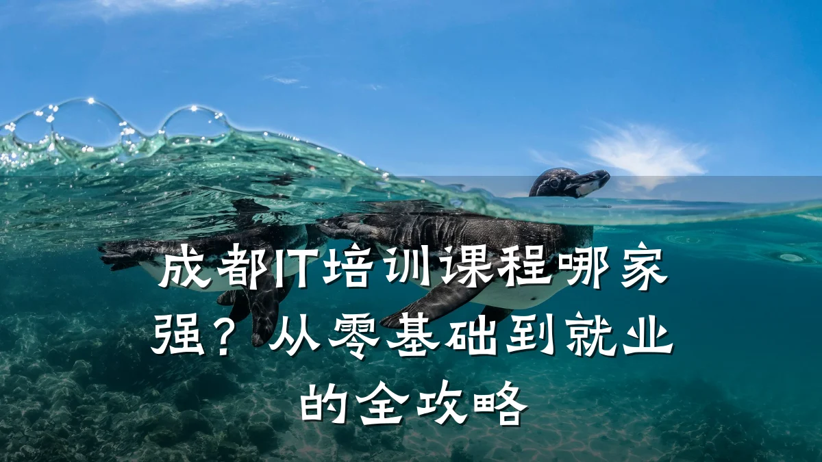 成都IT培训课程哪家强?从零基础到就业的全攻略