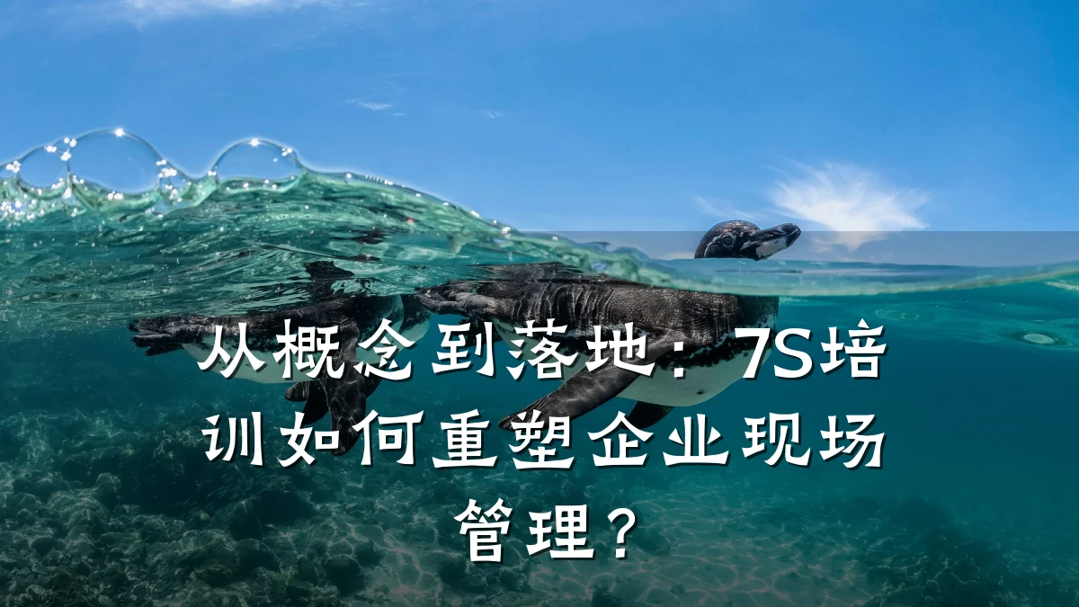 从概念到落地:7S培训如何重塑企业现场管理?