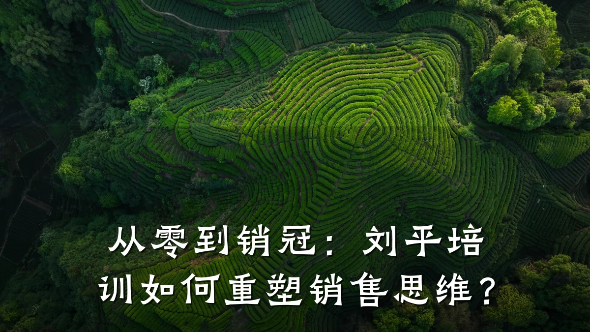 从零到销冠:刘平培训如何重塑销售思维?