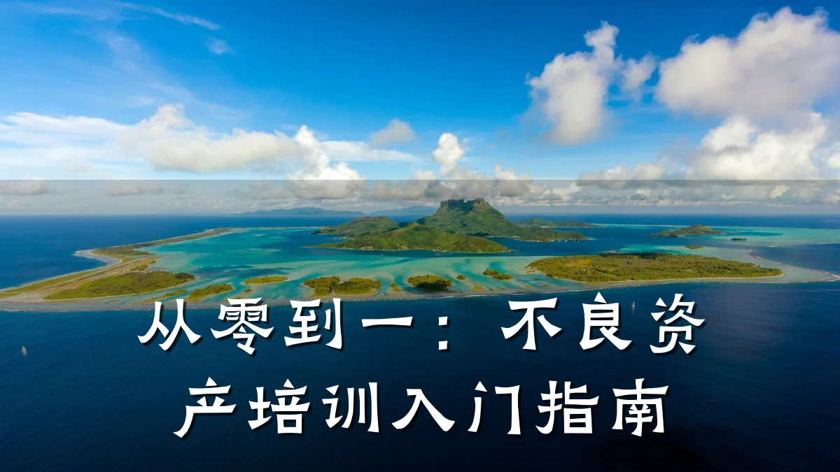 从零到一:不良资产培训入门指南