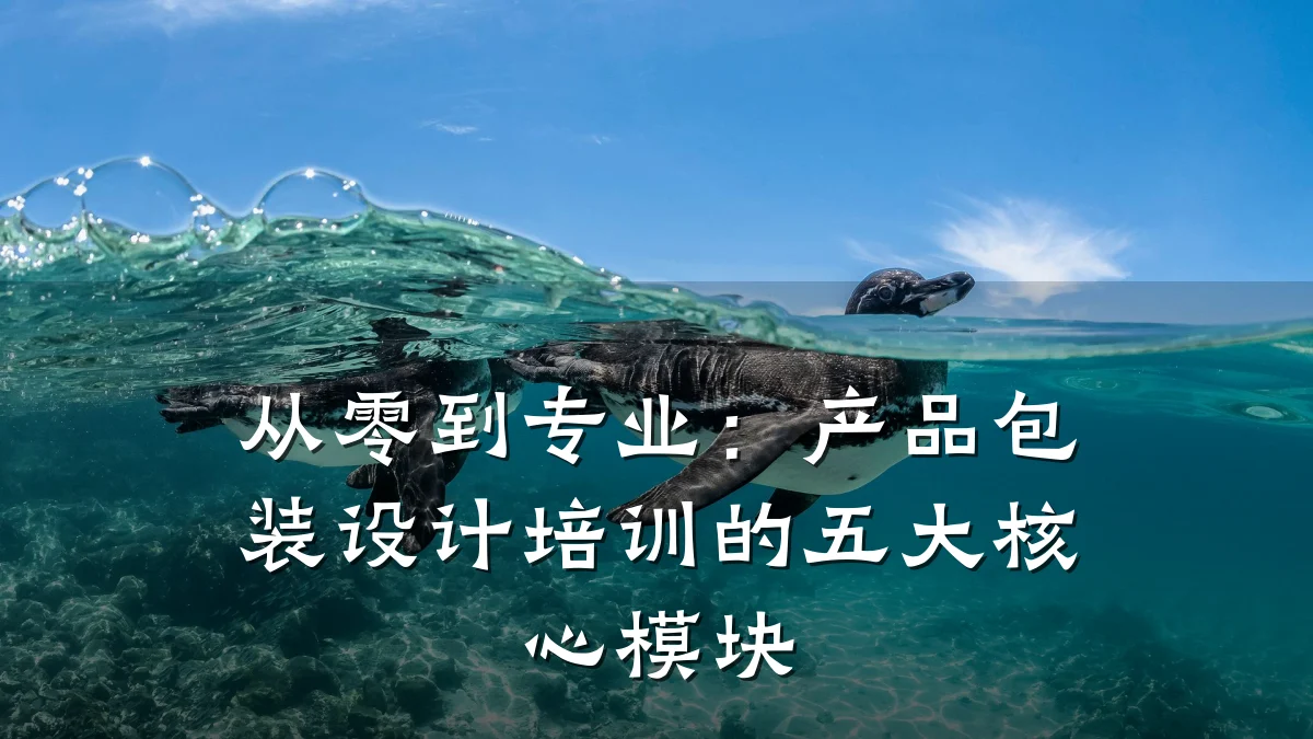 从零到专业:产品包装设计培训的五大核心模块