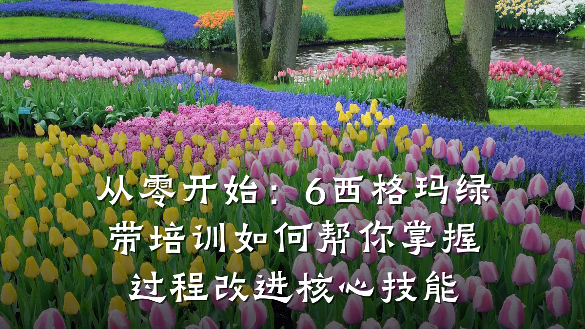 从零开始:6西格玛绿带培训如何帮你掌握过程改进核心技能
