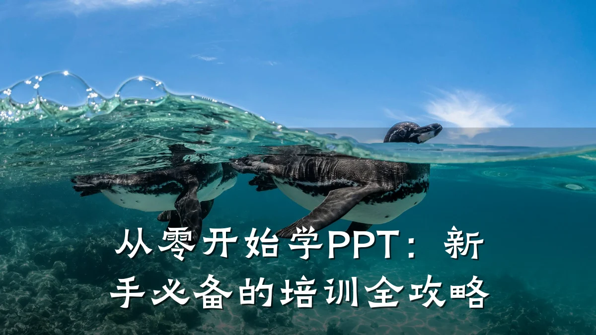 从零开始学PPT:新手必备的培训全攻略