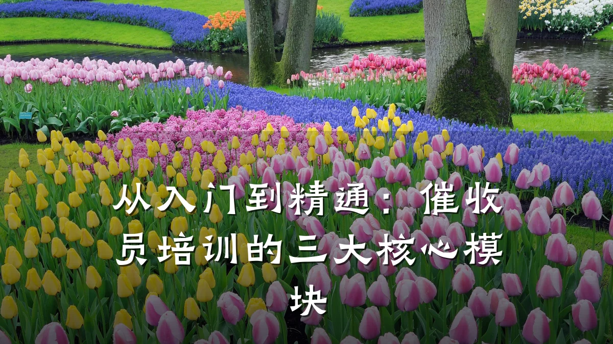 从入门到精通:催收员培训的三大核心模块